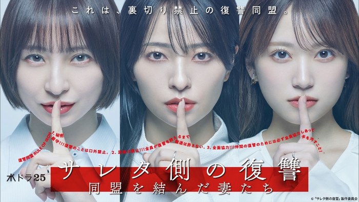 サレタ側の復讐 poster