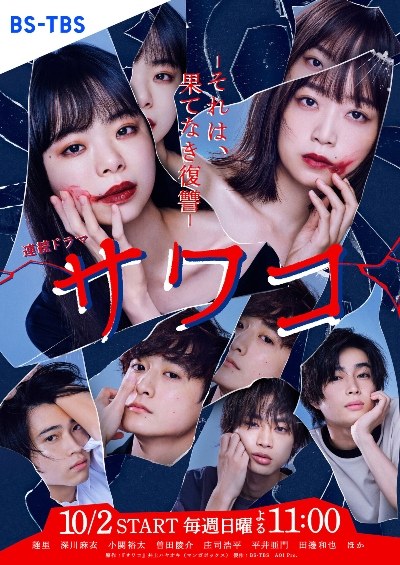 Sawako: It's an endless revenge poster