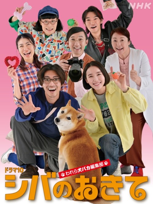 シバのおきて poster