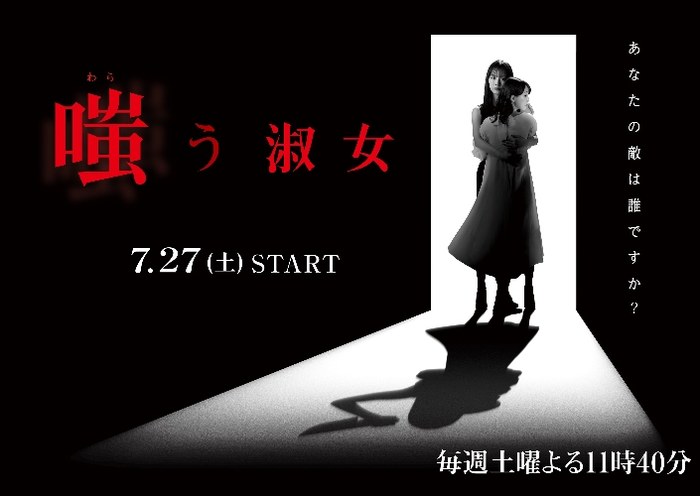 The Mocking Lady poster