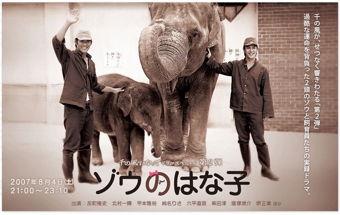 ゾウのはな子 poster