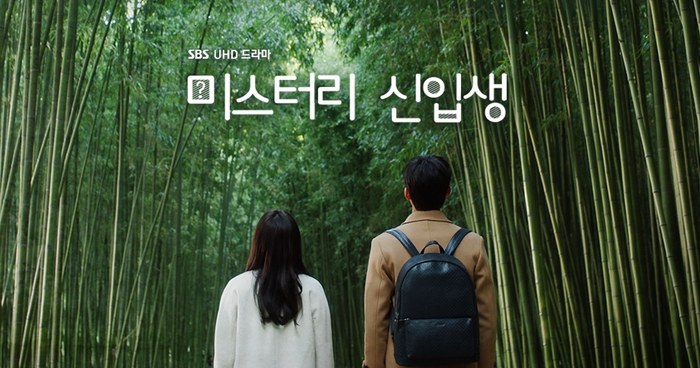 Miseuteori Sinibsaeng poster